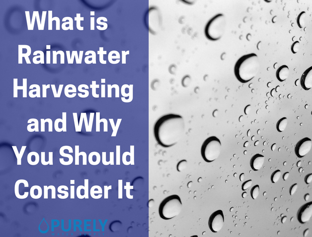 What is Rainwater Harvesting and Why You Should Consider It
